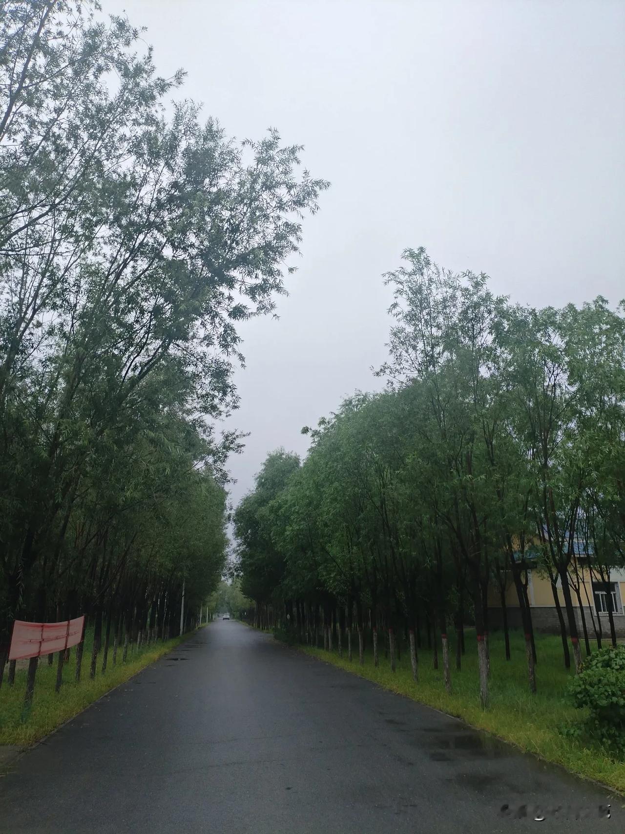八月将尽

文//白雨

无非是把时间割裂成段
无非是把记忆刻画成尺
四分之三处