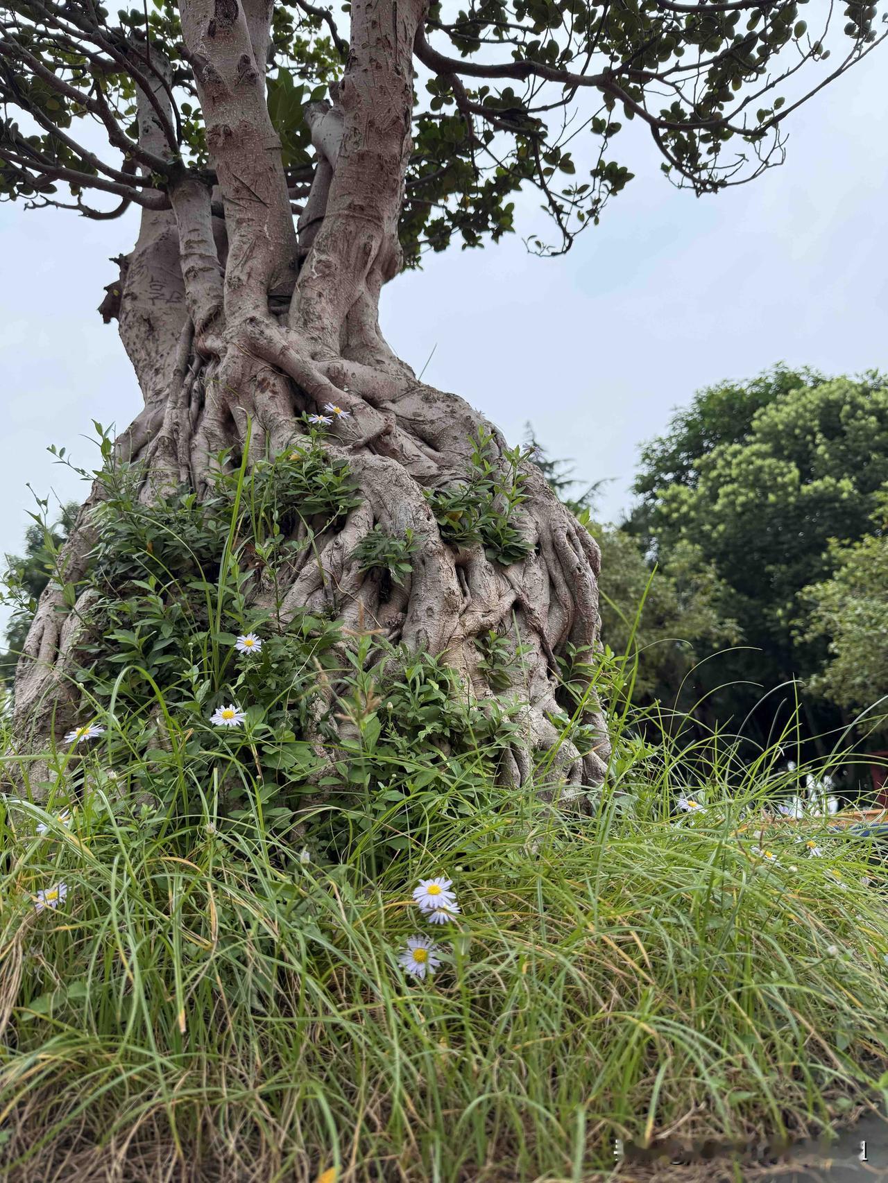 今天心理培训老师说，每天醒来想想三件令人高兴的事，就会有好心情！
同事说：第一件