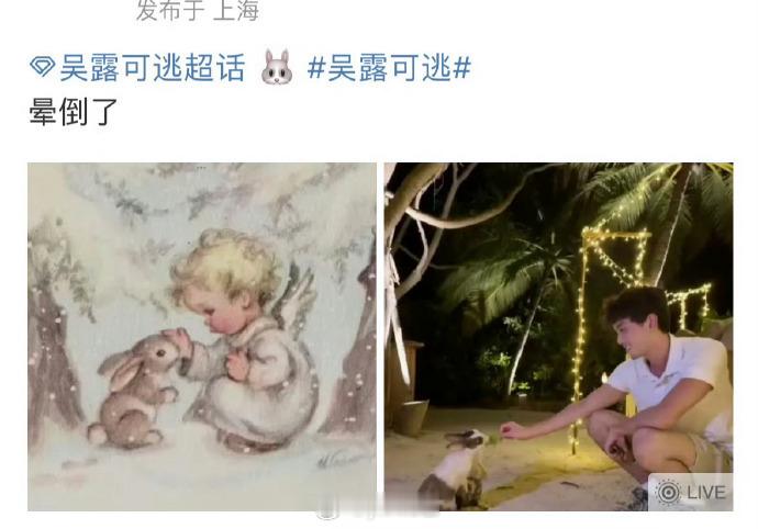 吴露可逃今天也可以磕 说不定会同框 