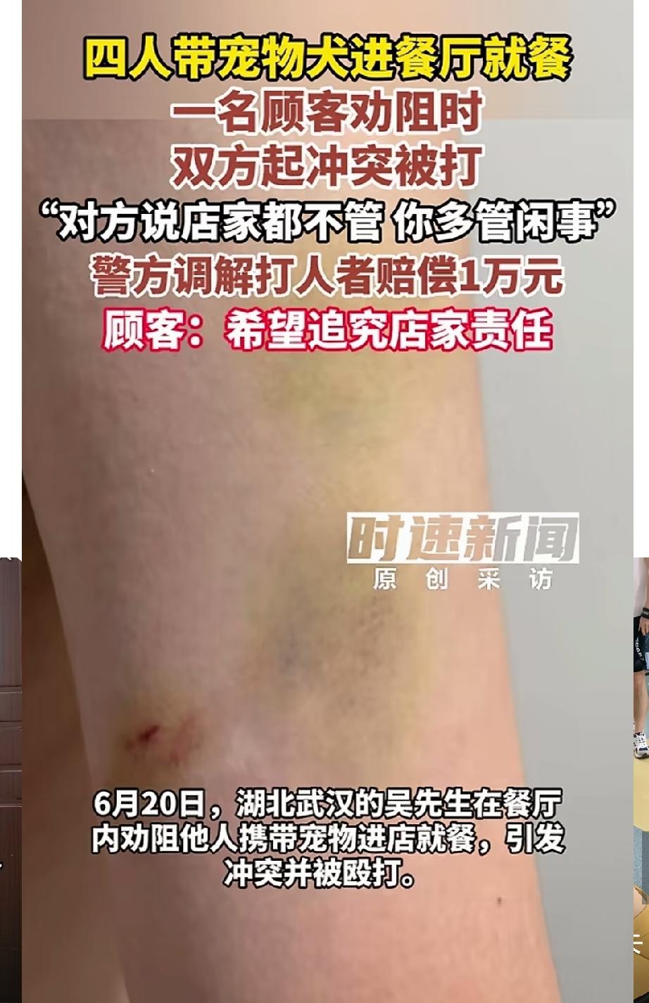 狗主人太嚣张！带狗进店用餐，被顾客劝阻时，竟然直接实施殴打，事后赔了1万了事，有