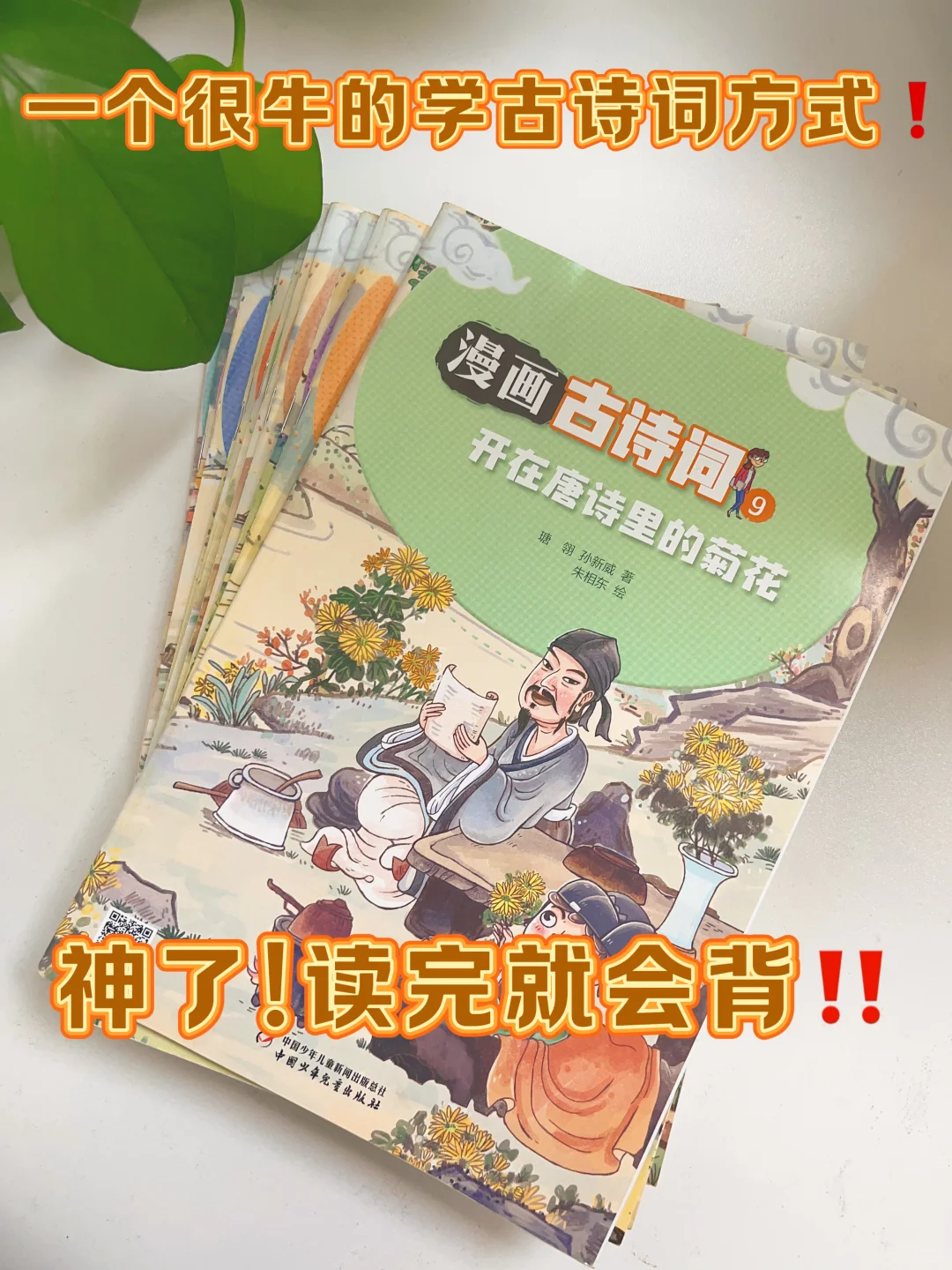 跟着考点走，其实古诗词应该这样学‼️