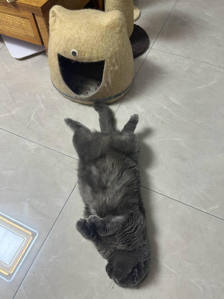 哈哈哈哈哈哈哈哈哈哈哈哈哈哈哈哈哈哈哈哈哈哈哈哈哈哈哈哈哈哈哈哈哈哈哈哈哈哈哈哈