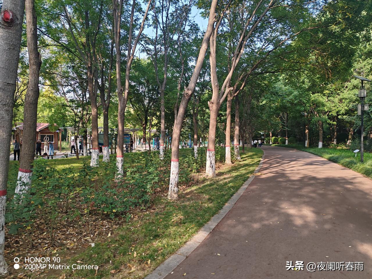 那是距今10多年前的一桩往事，经历有些特殊，时至今日依旧铭记在心。
一个冬天的夜