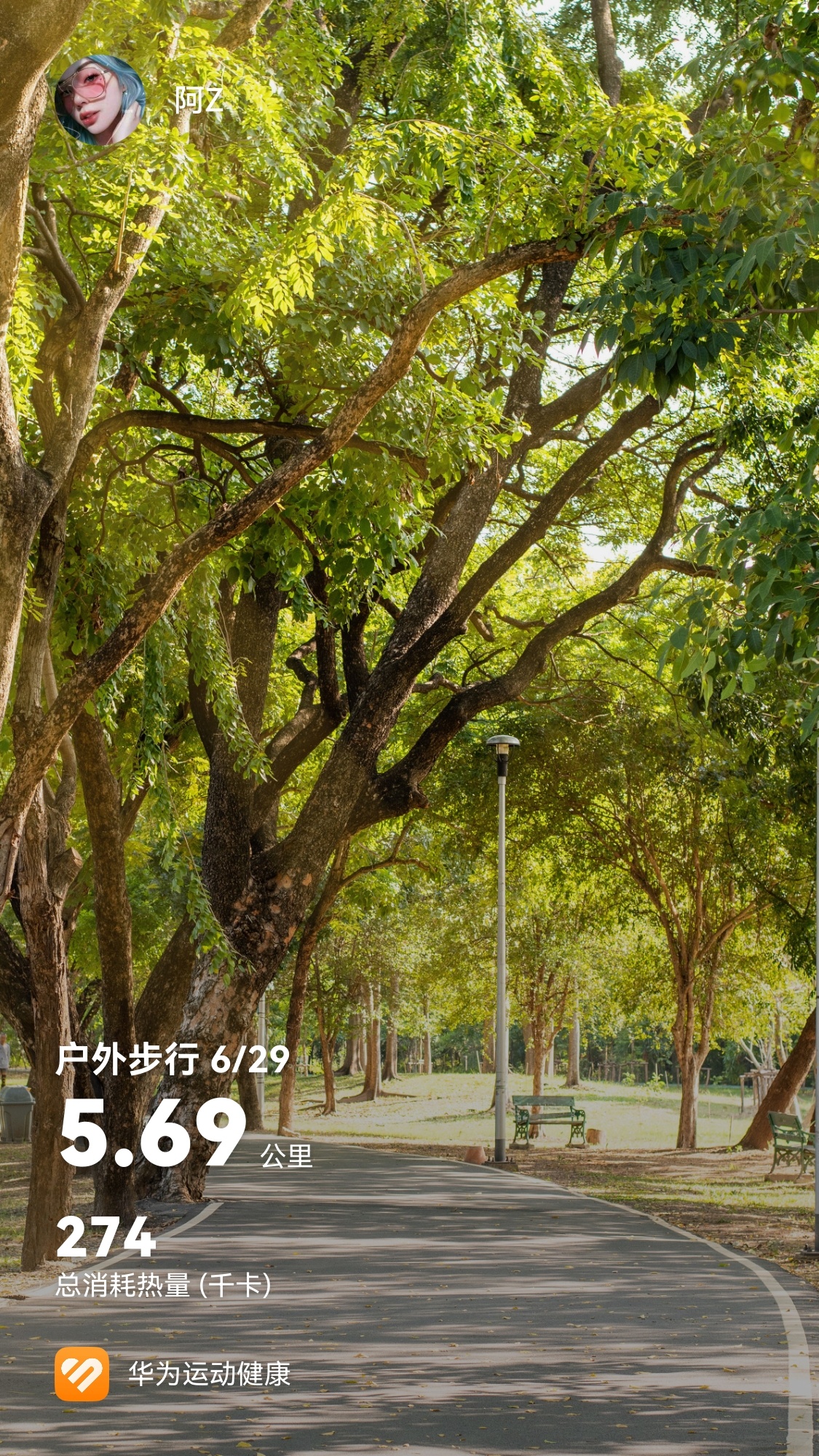 生活手记 