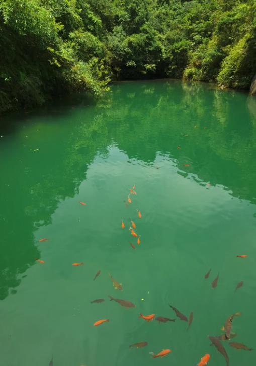 马斯克拒开星链，背后水很深
亲爱的朋友们大家好，我是海林小百科，今天我们来看看马