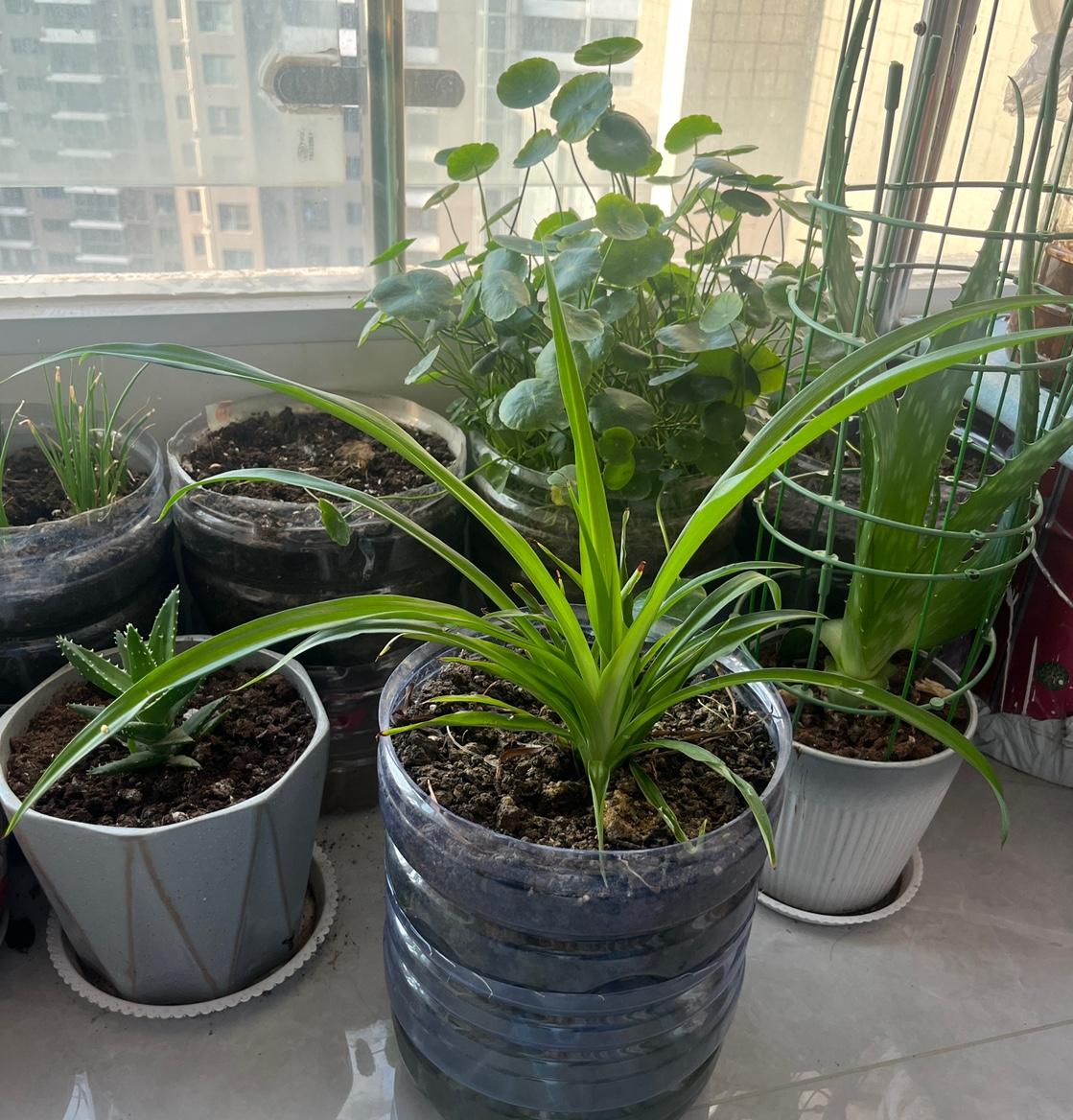 人活到一定年纪，慢慢就读懂了生活真谛。日子过着过着才明白，万般皆是命，半点不由人