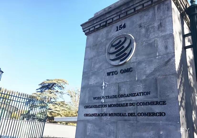 世贸组织正式作出裁定，美国在太阳能、风电项目里推行的“国产部件才能拿补贴”政策，