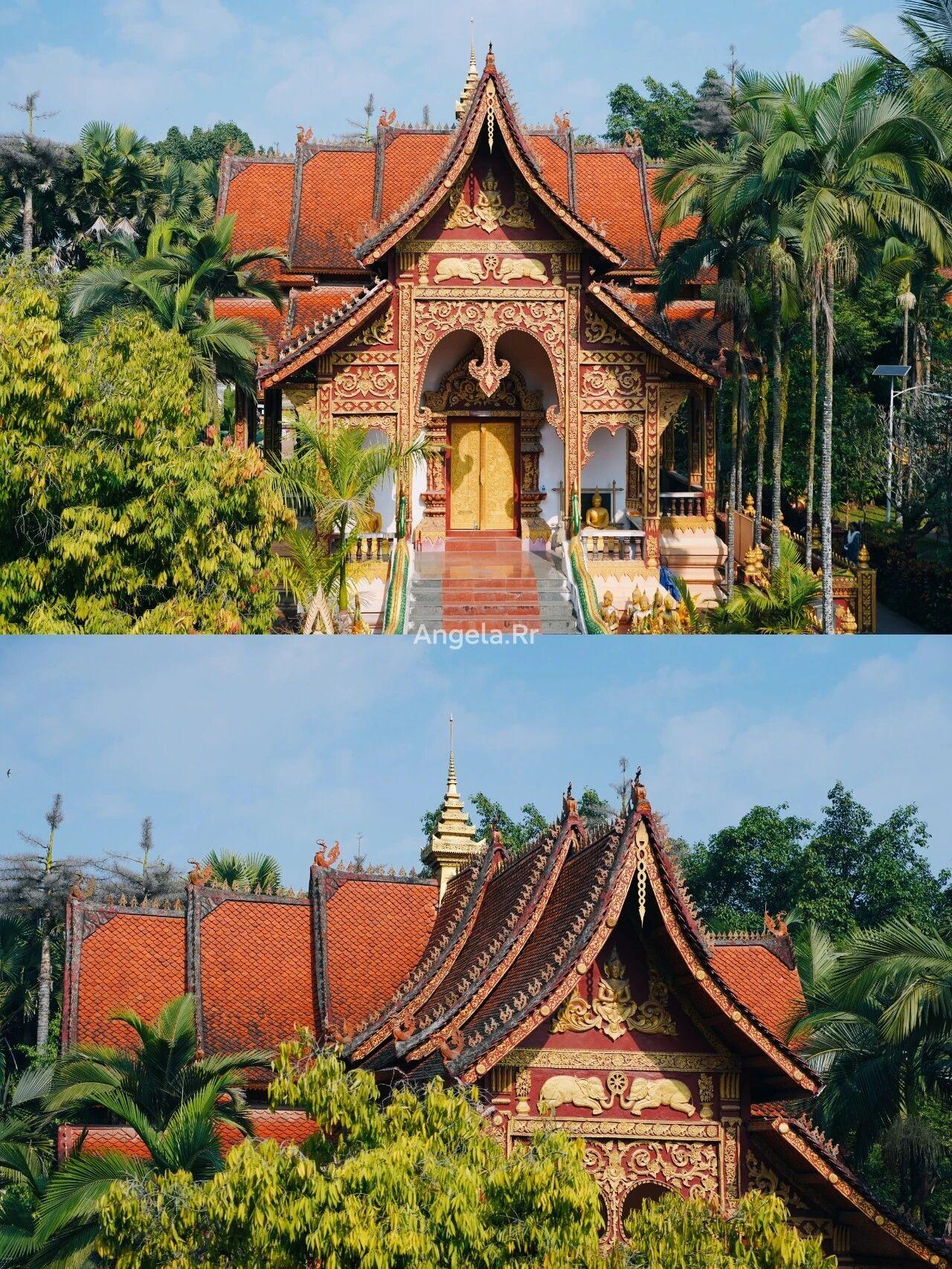 如果你问我，国内哪个城市最像东南亚？
那一定是西双版纳！🌴
这里没有冬天，只有