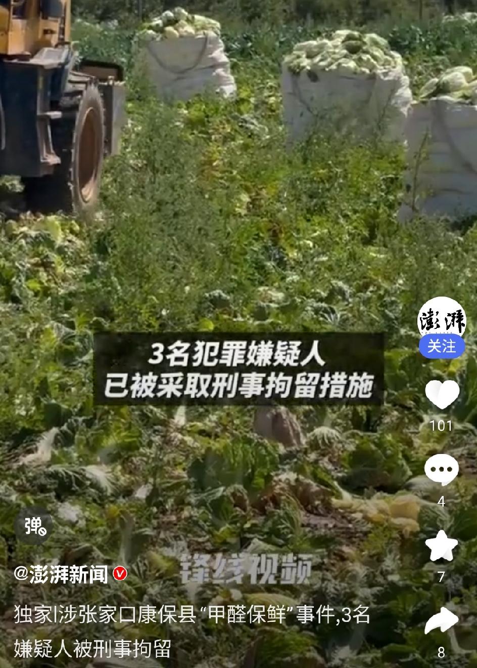 张家口“甲醛白菜”被抓的三个人，可能面临这三种下场。

第一，轻则坐牢，重则无期