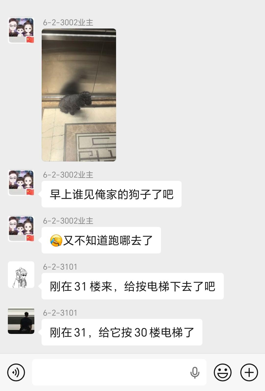 请教万能的今日头条好友，藏龙卧虎。小狗自己坐电梯出来，它又怎么判断是自己家楼层出
