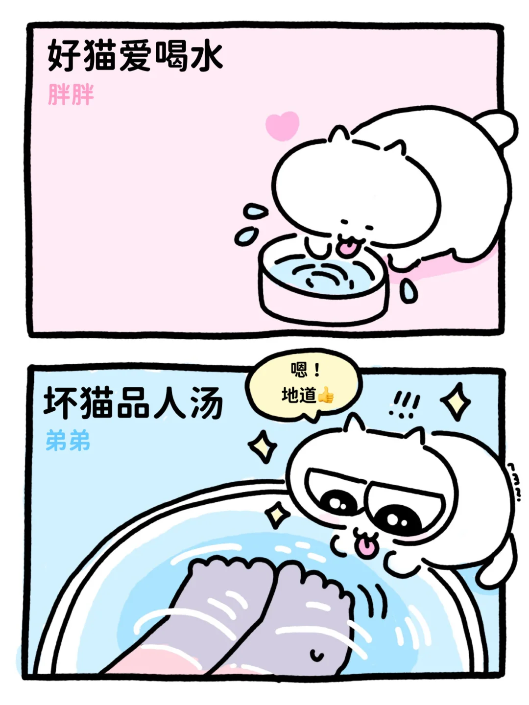 好猫or坏猫？