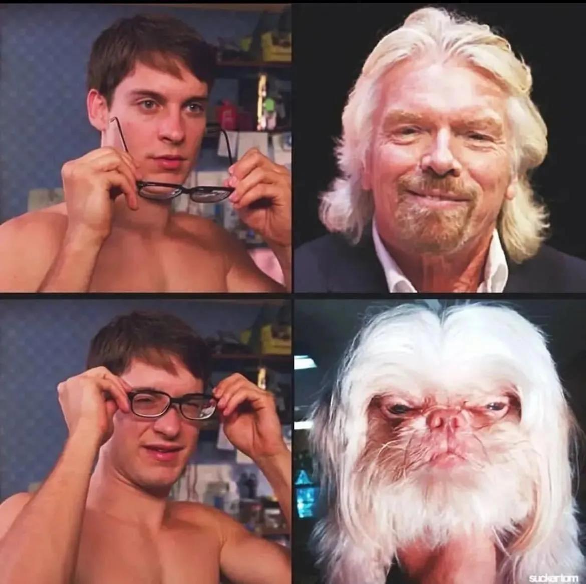 好莱坞的犬系男星，总有一款适合你……