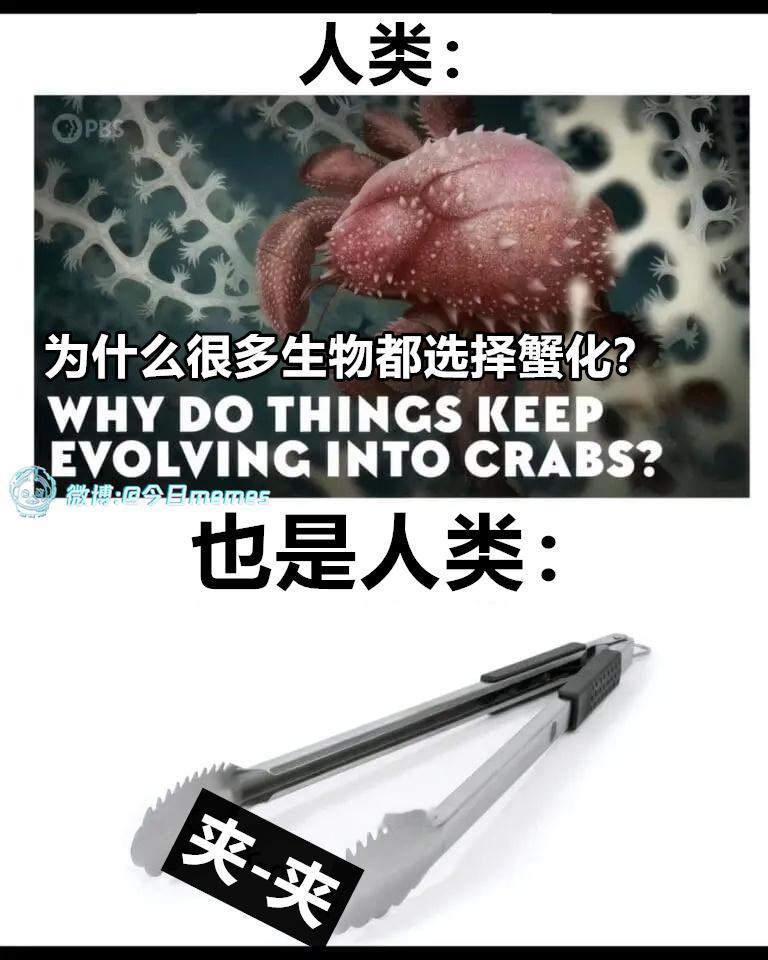 剪系（9gag）今日meme[超话] 今日memes ​​​