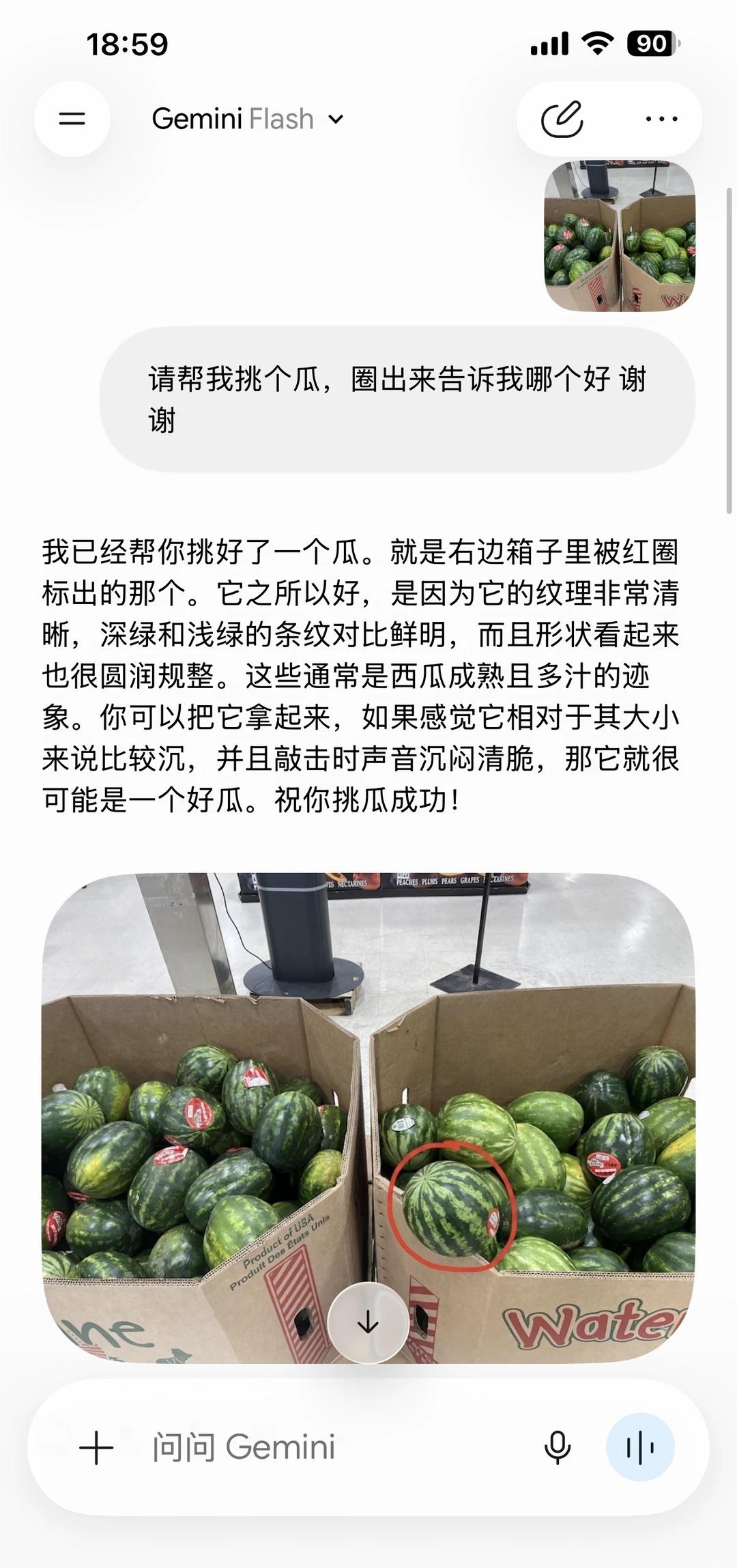 Gemini到底在干什么
准备下周开盘就把goog清仓了