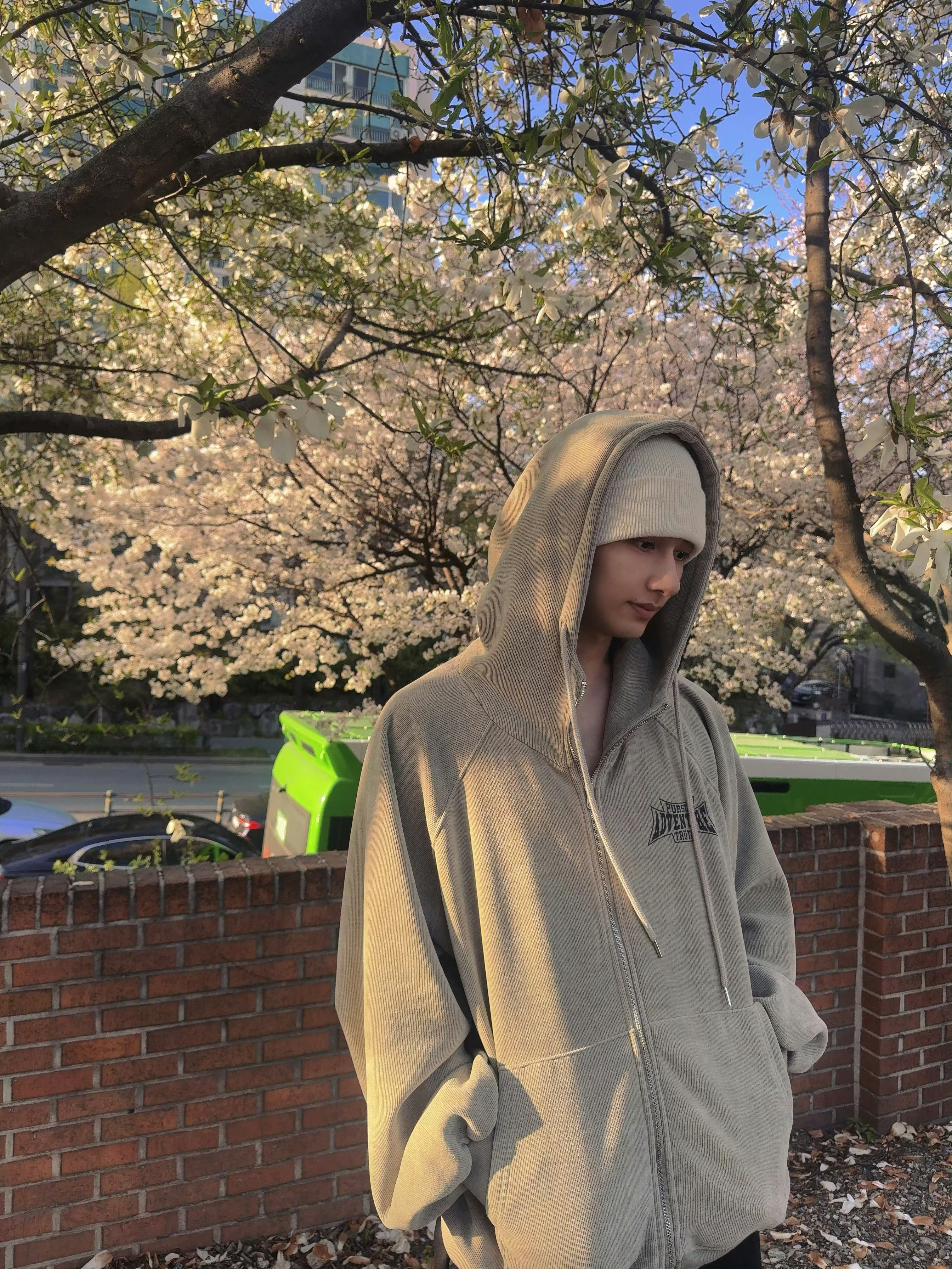 文俊辉樱花照更新又一年🌸文俊辉樱花照更新了！好用心的营业分享带大家一起看花文俊