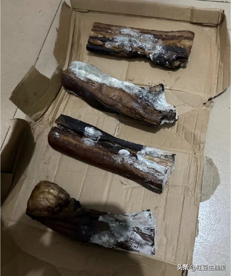 这可咋整，过年带出来的腊肉，成这样了，还能吃吗？
都怪这段时间天天下雨，导致我心