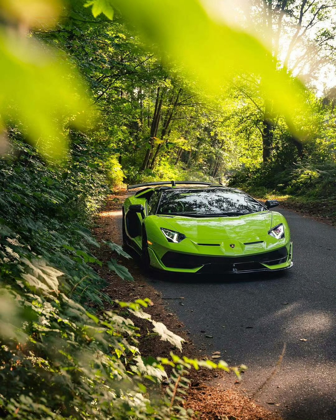 兰博基尼 Aventador SVJ Roadster 💚💚 ​​​