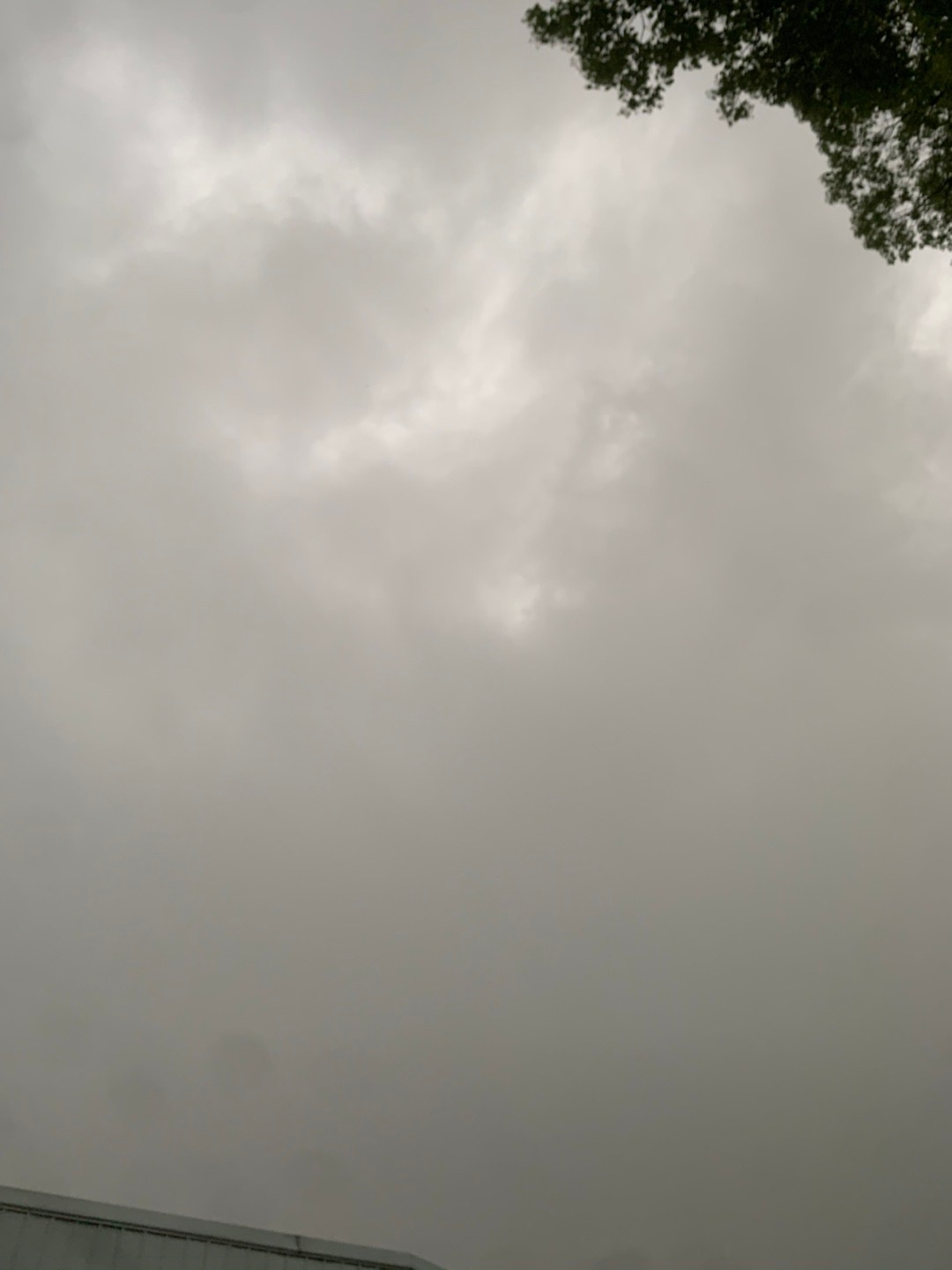 大早上的怎么跟晚天黑一样，这天气可以～#新余天气# ​​​