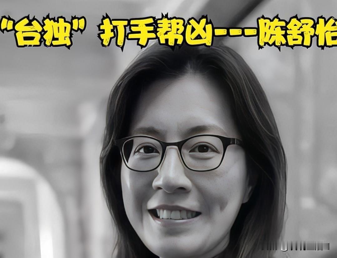 作为民进党的“东厂”打手，陈舒怡是如何陷害打压蔡正元，并将其判刑入狱的？

蔡正