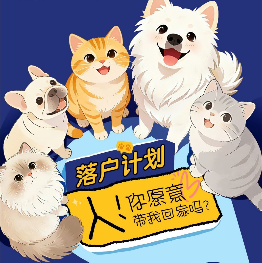 流浪动物落户计划 给流浪的小生命一个安稳的家，远比一时投喂更有温度。从街头漂泊到