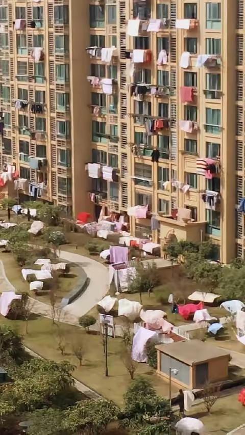 你敢相信！同样是晒被子，低档小区业主就被贴标签，高档小区偷偷晒反而夸“懂生活”？