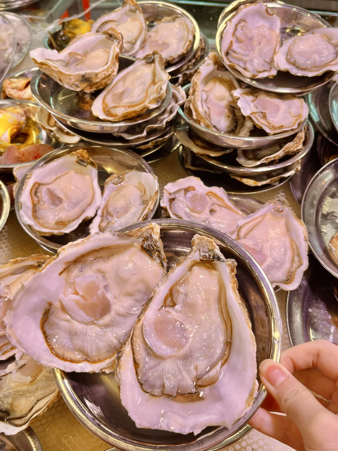 福州新鲜又好吃的火锅🍲不用只去排队最多的