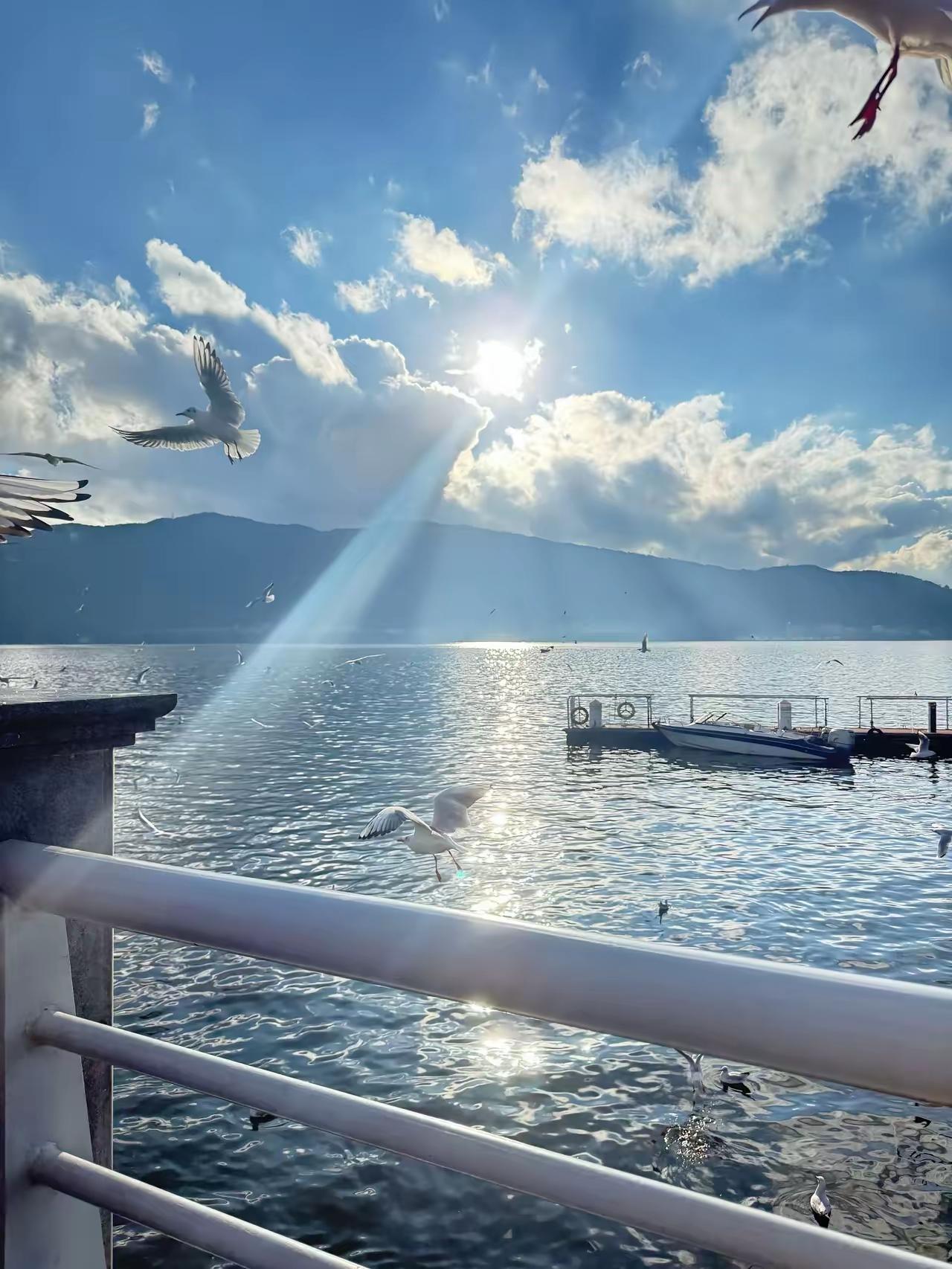 今天下班路上，路过一家便利店，看见一只流浪猫蜷在门口，可怜巴巴地盯着里面咕嘟咕嘟