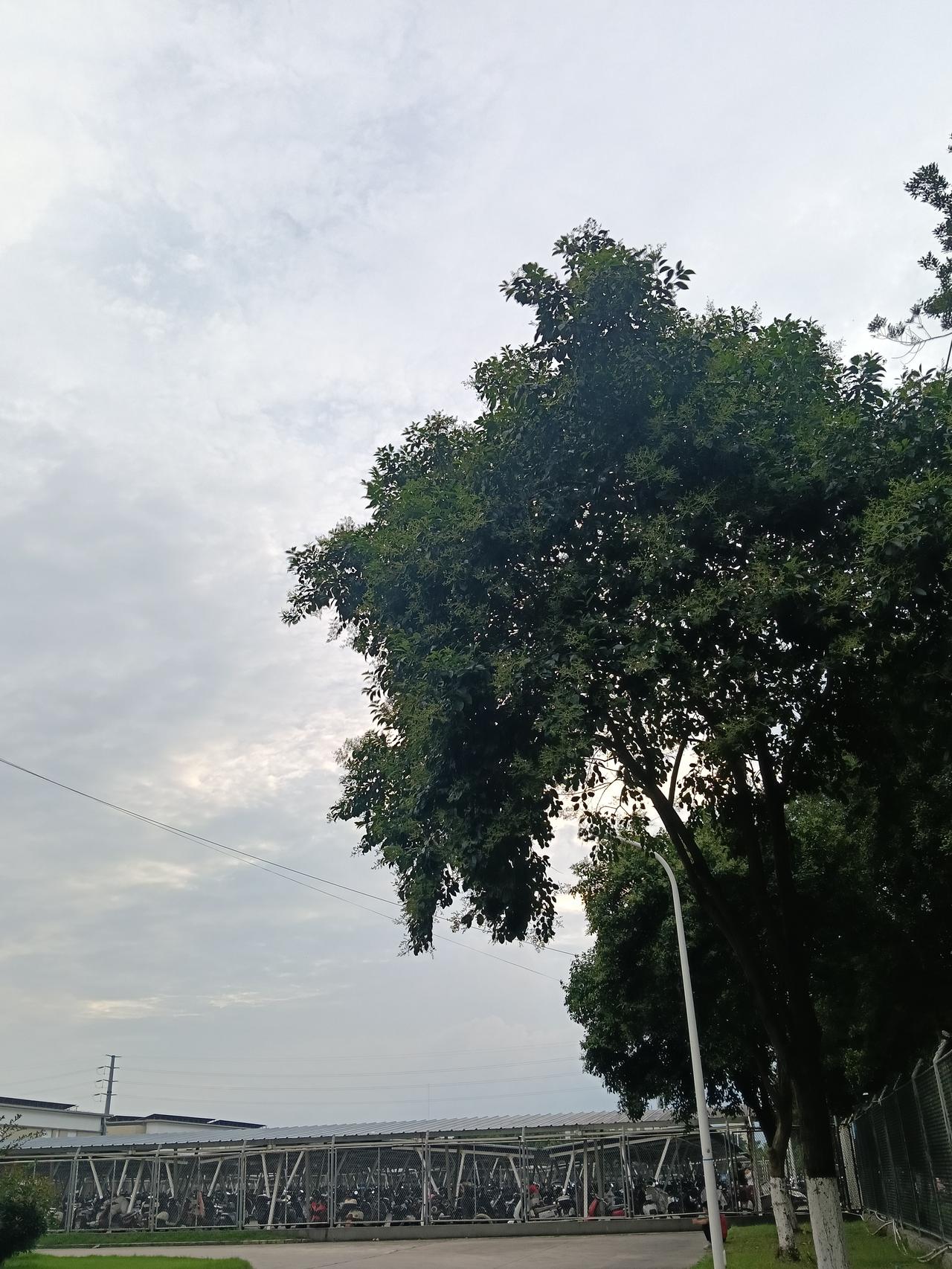 晒图笔记大赛