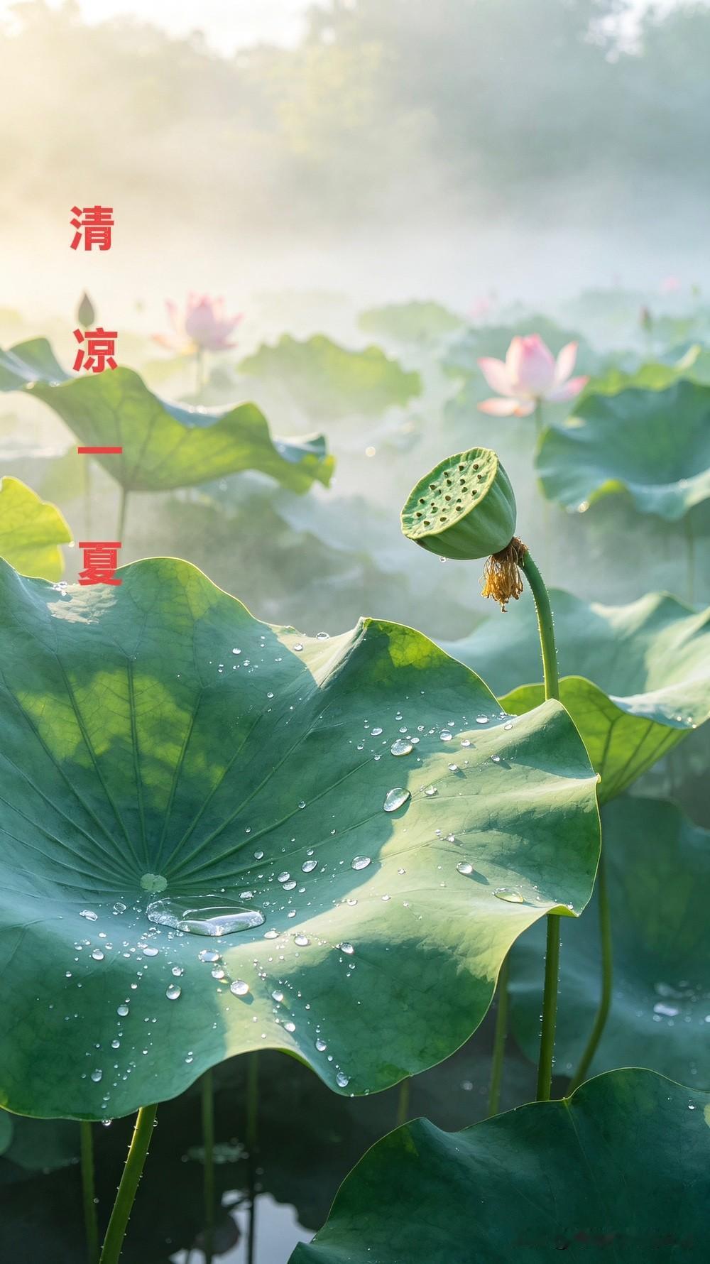 🍃꧂🌞早上好💕᭄🌿☕️
           2026/07/22   
