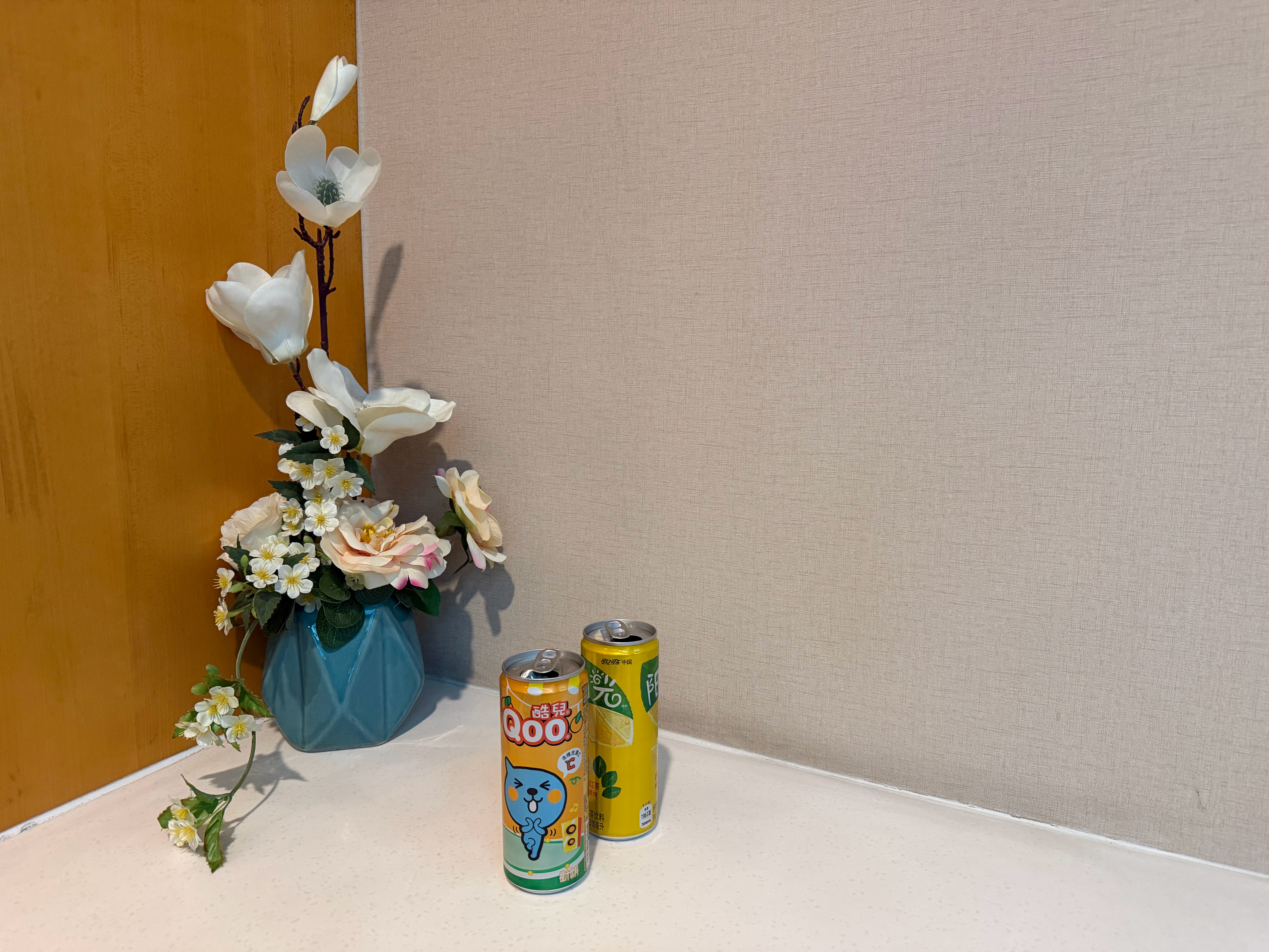 提问：一位贵宾，打呼噜让整个贵宾室震耳欲聋的时候，你在旁边会怎么办？[融化]  