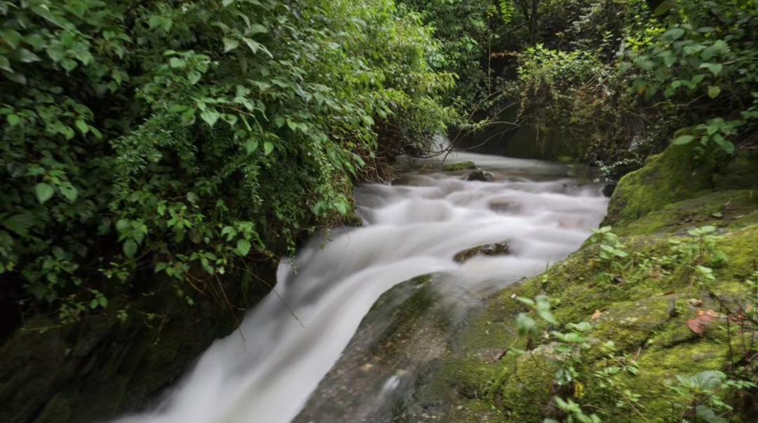 山中溪水
今日分享随手拍照片