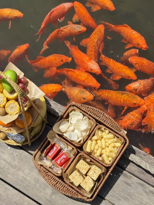 常州斛唐！邂逅一炉流动的春天🍃