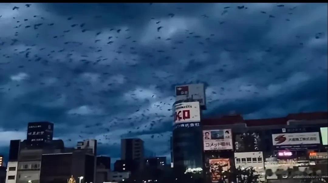 今天是国家公祭日，一些日本政客大打悲情牌，说日本是“爱好和平的国家”，中国“反应