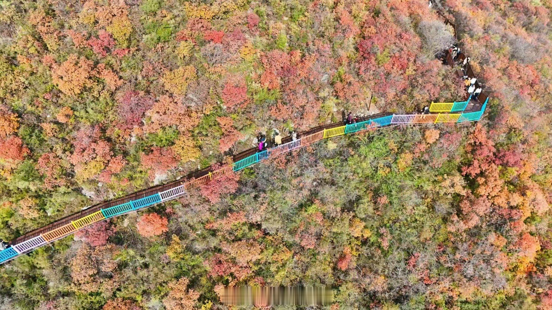 【窄门峡谷的彩练】我眼里的美丽焦作 焦作中站区窄门峡谷，全长1300米的防腐木栈