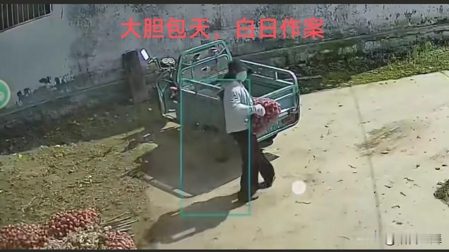朗朗乾坤，白日行窃，在苏北徐州某农村开电动三轮车直奔农户家门口，整袋搬走大蒜，窃