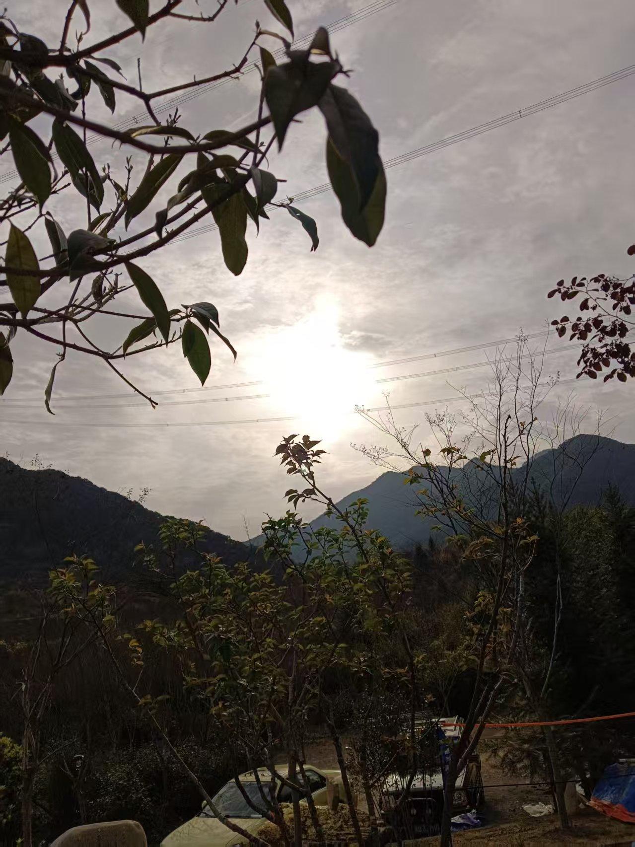 分享一张你最近随拍的照片