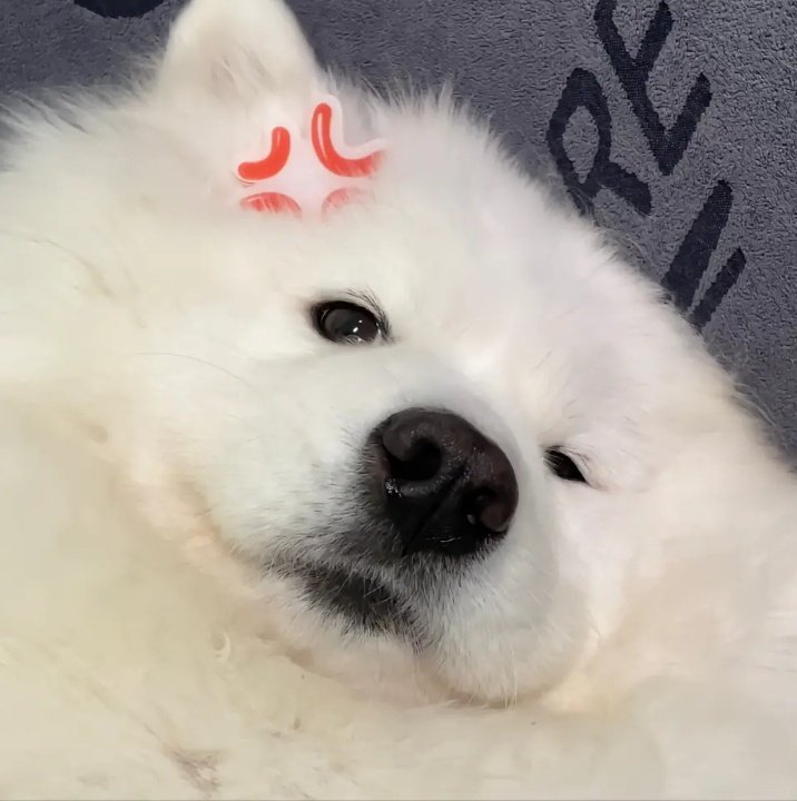 好离谱，又封了好多人甚至还有㊗🐟 