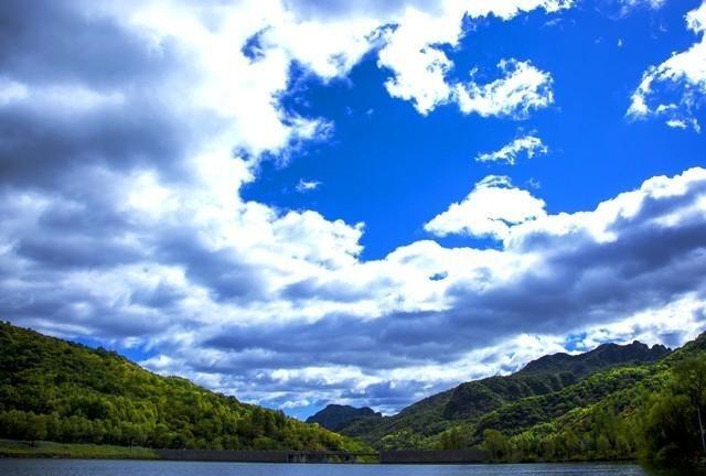 一句很有道理的话：“依赖任何人都是在自杀，你一定要明白，大树底下无大草，能为你遮