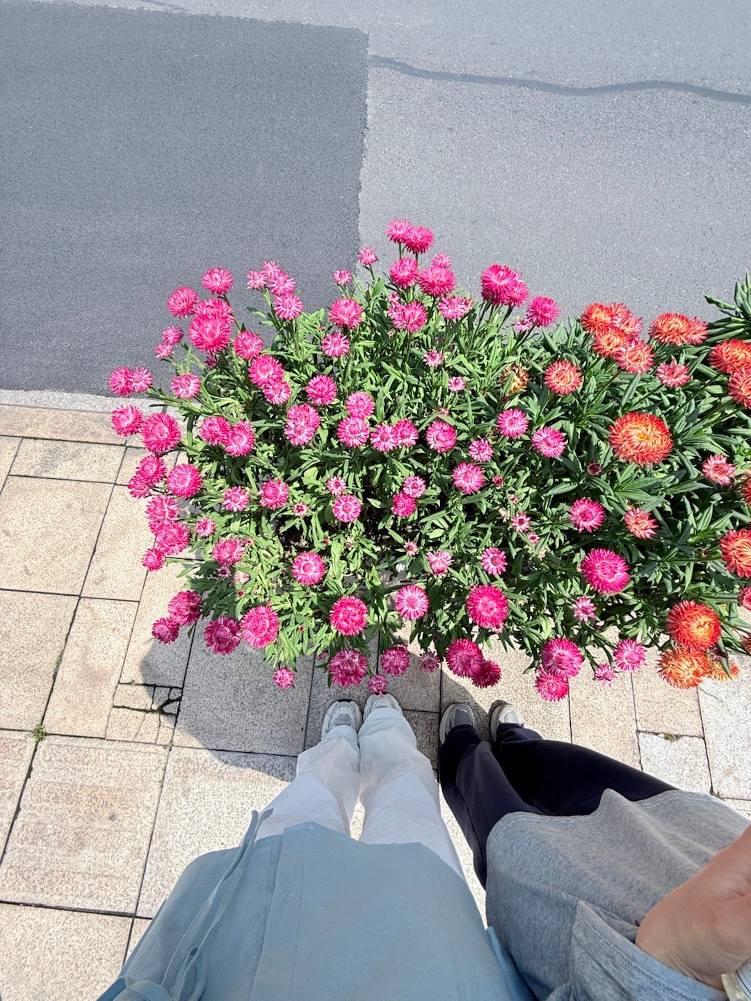 💐过花束般的日子 ​​​