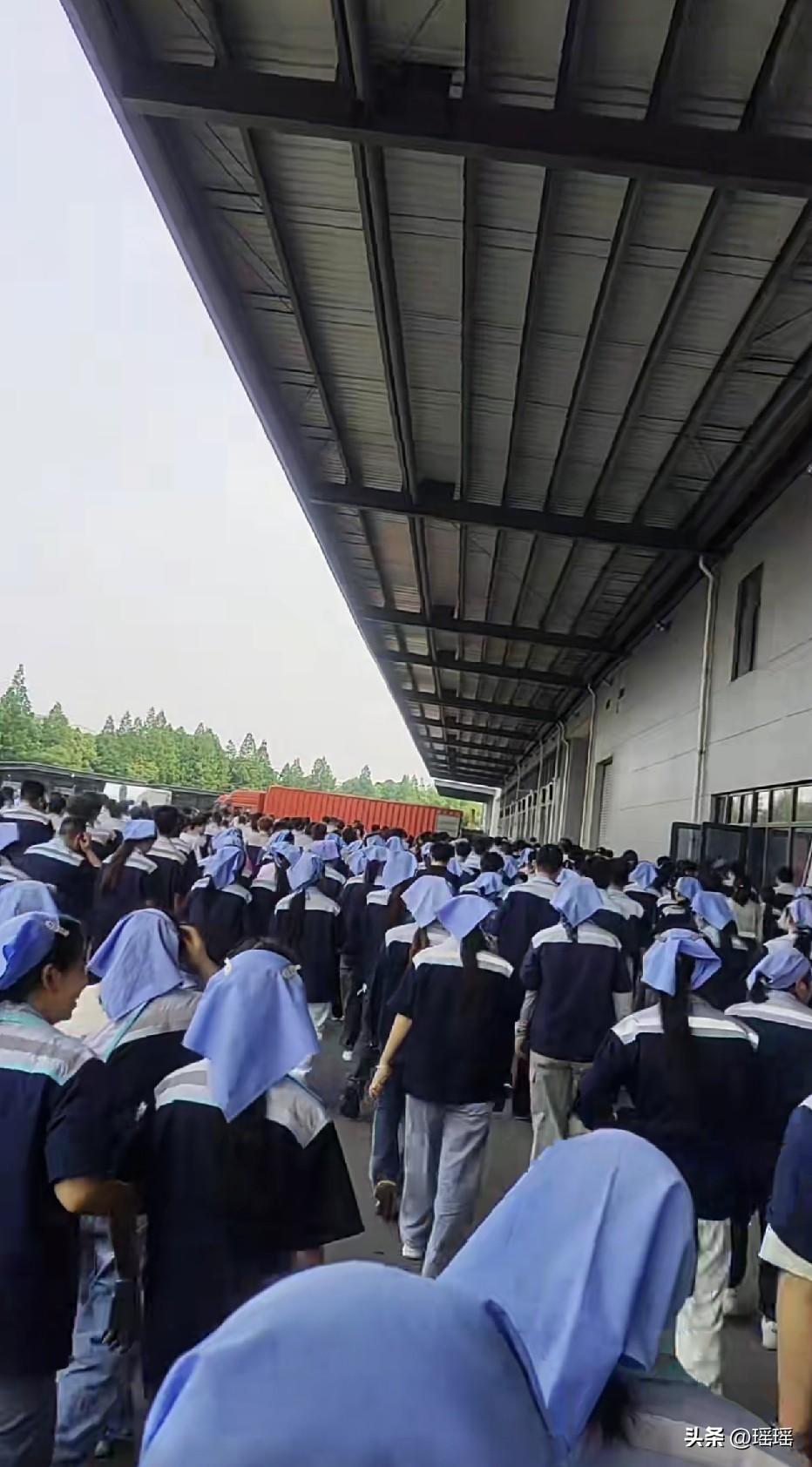 一看就是重男轻女的厂
