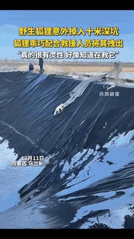 “科学解释不清！”
内蒙古那场救援，简直太神奇了坑，‮深米01进掉狸狐生野只一