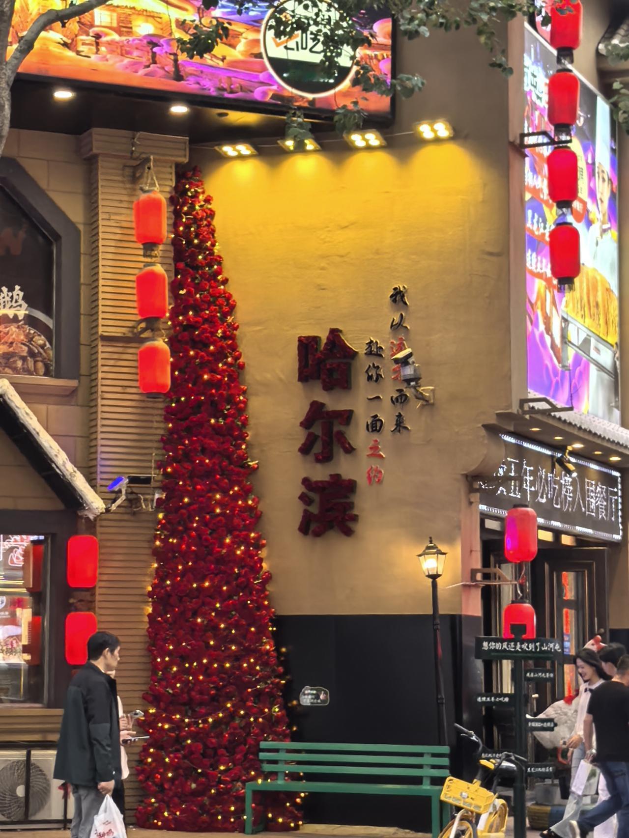 丁香之城——哈尔滨