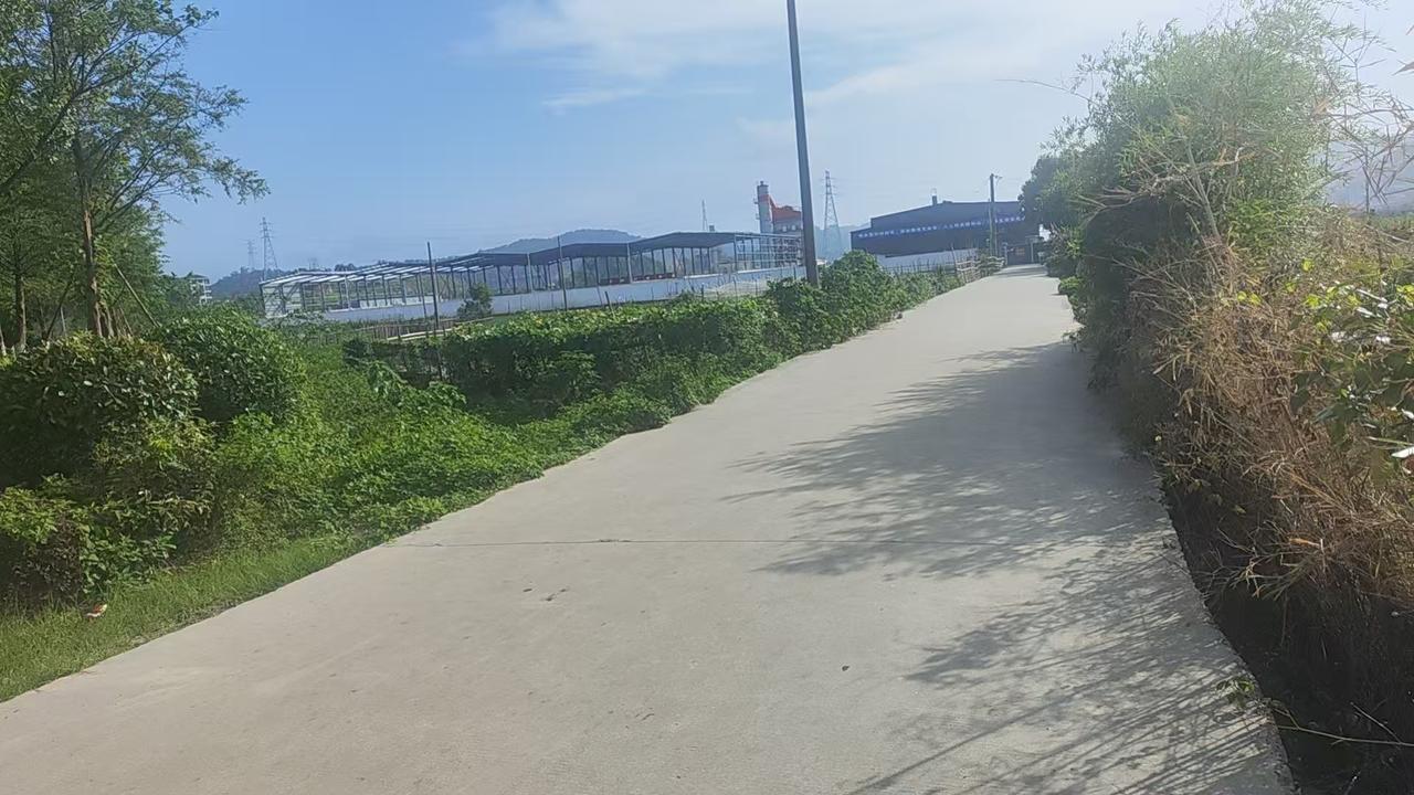 漫步在乐清高速路口旁的乡间小道，平整水泥路向前延伸。

道路两侧草木繁茂，绿意盎