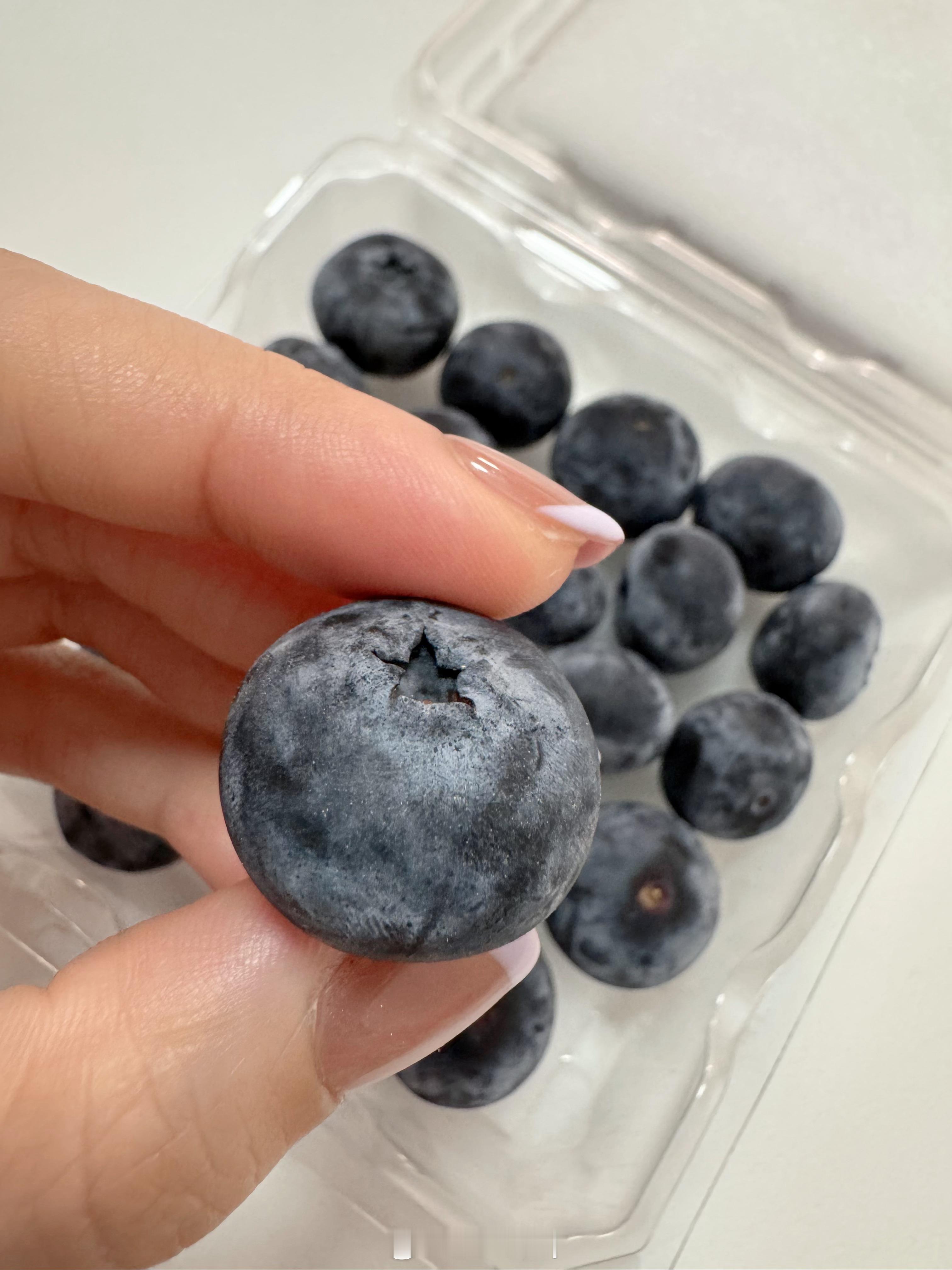 啊，好吓人蓝莓肚脐眼里的霉菌，我赶紧拿出冰箱里面的蓝莓仔细看看👀。还好还好，没