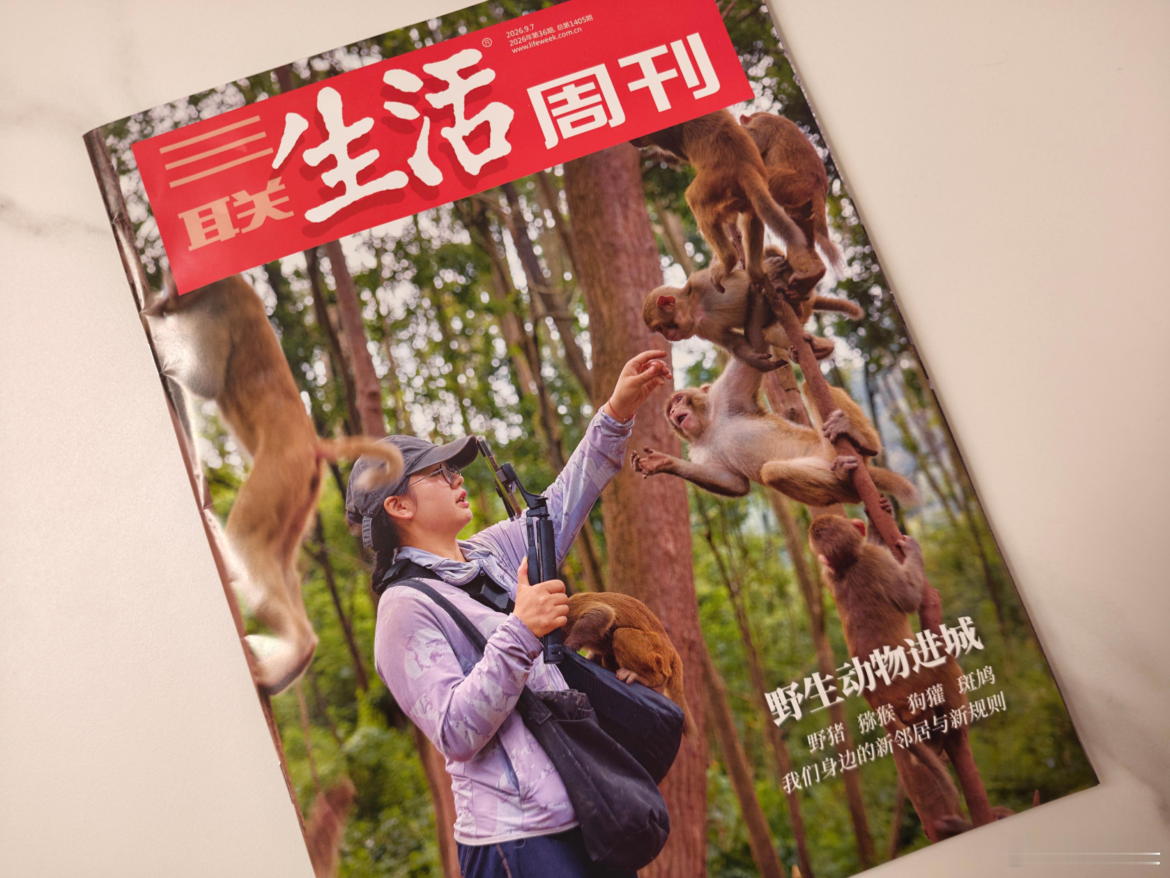 树上七个猴儿，地上…… ​​​