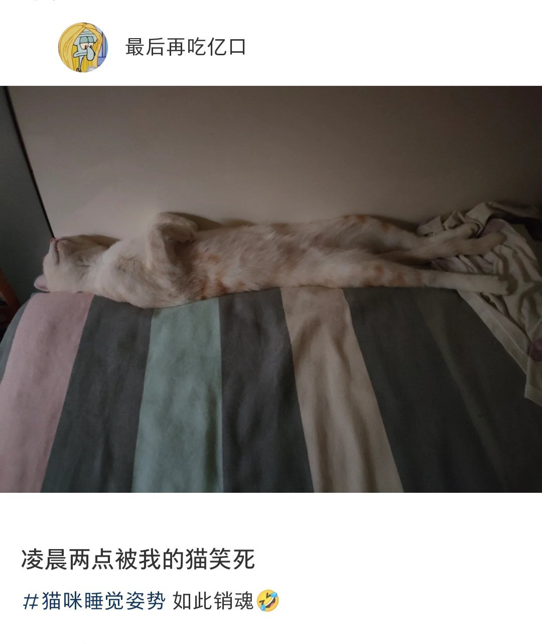 凌晨被猫的销魂睡姿笑到了[开学季] #日常# #想法# ​​​