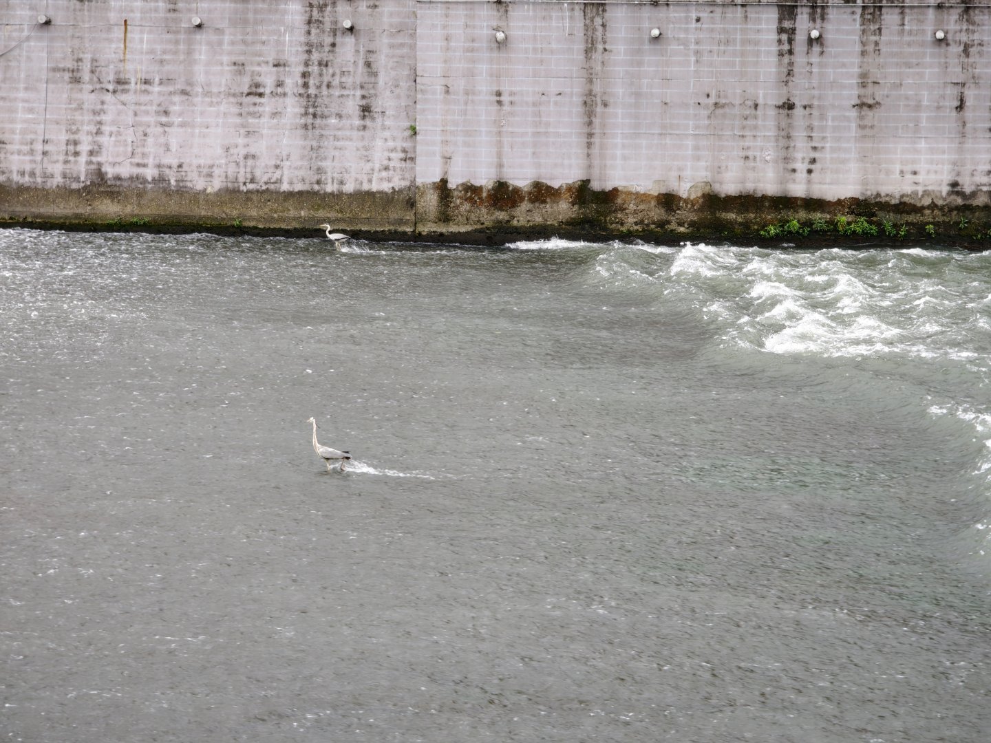 来都来了。。。