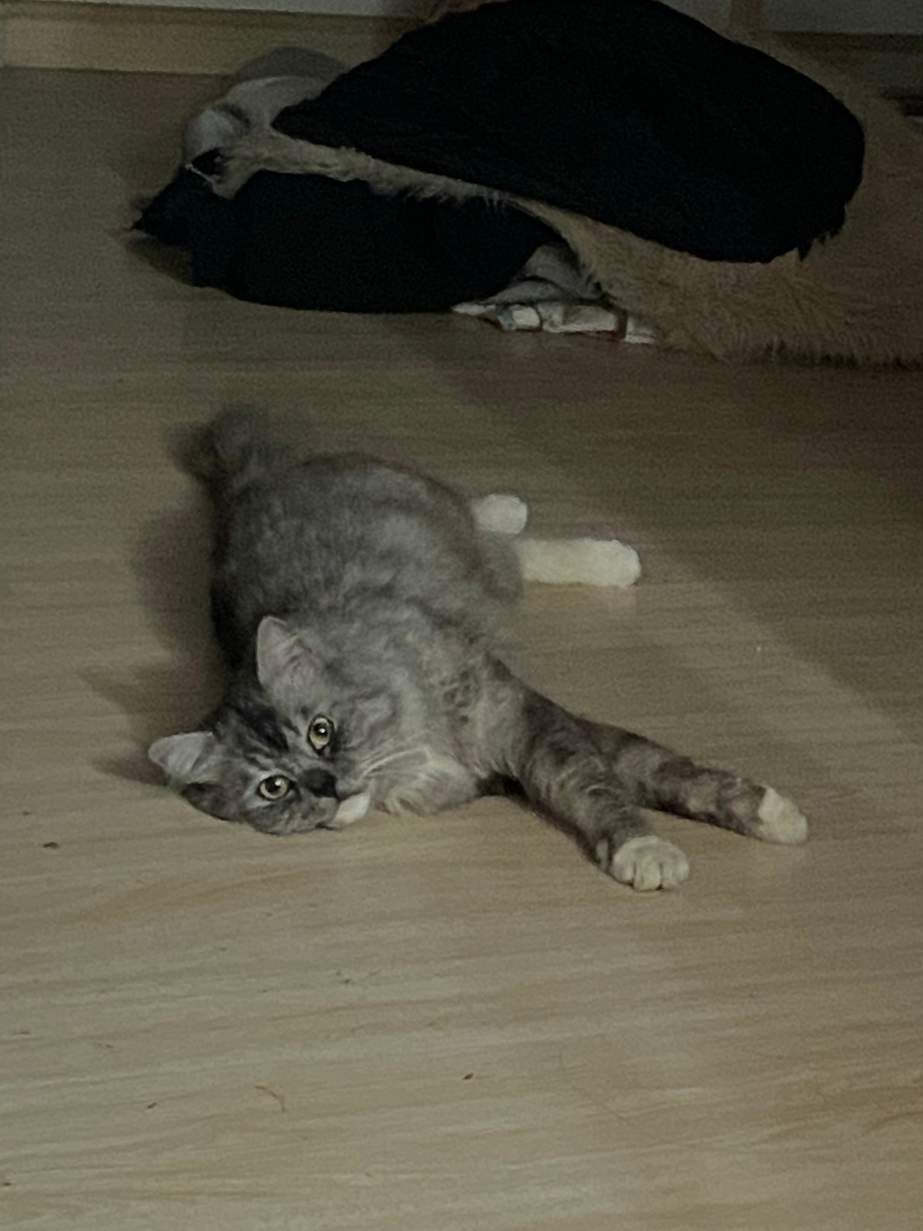 晚上开始跑酷 累了躺地板上呆会 一会儿还得跑 