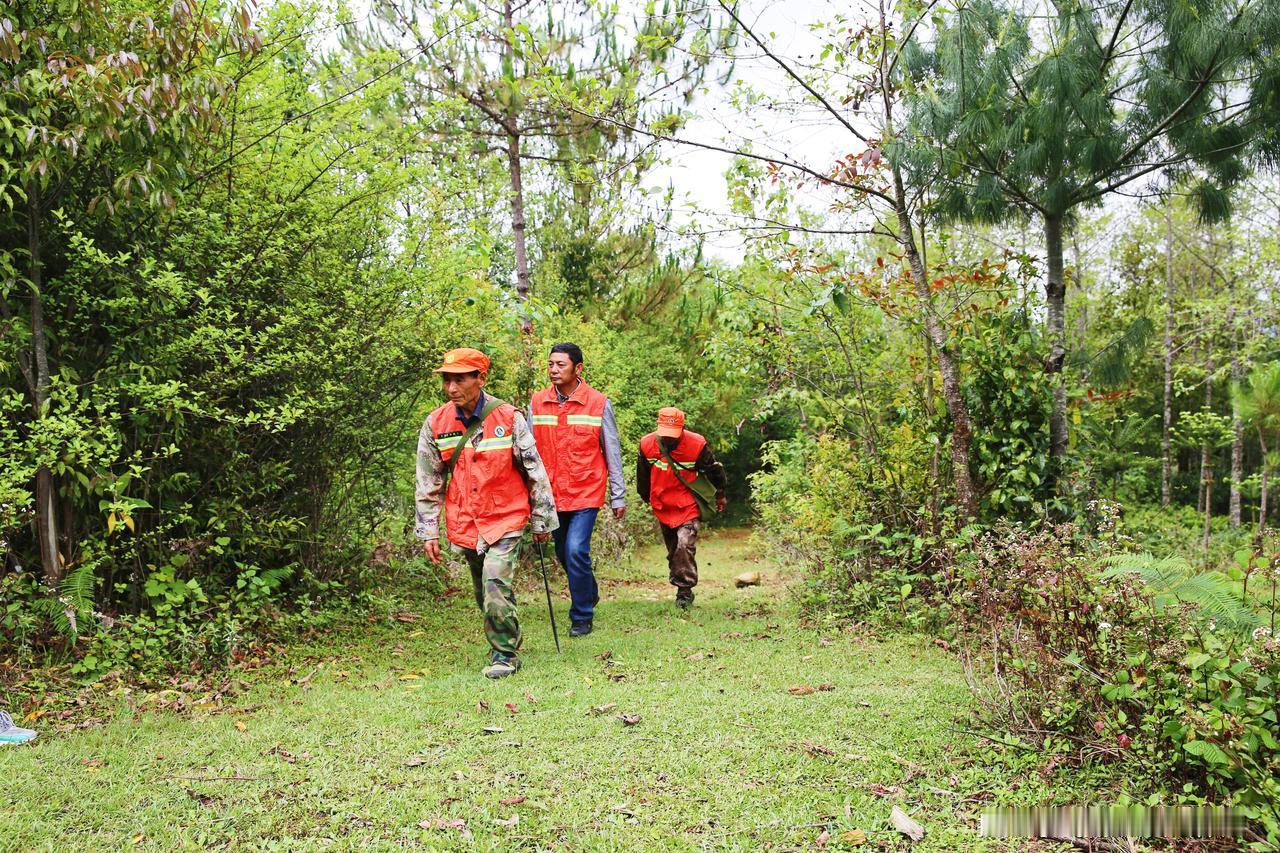 可以让孩子去接班的事业编制，只剩下这一个了，只要能够被录取，未来工作是相当稳定的