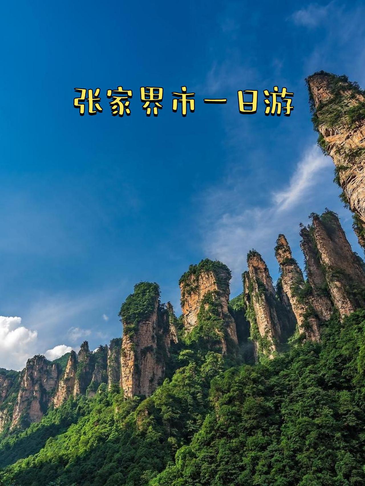 旅游总能带来别样的体验。大连就是个值得一去的地方，滨海路山海如画，海之韵公园曾有